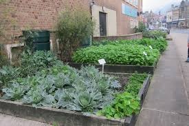 carrés potagers dans la rue à Todmorden (Yorkshire)